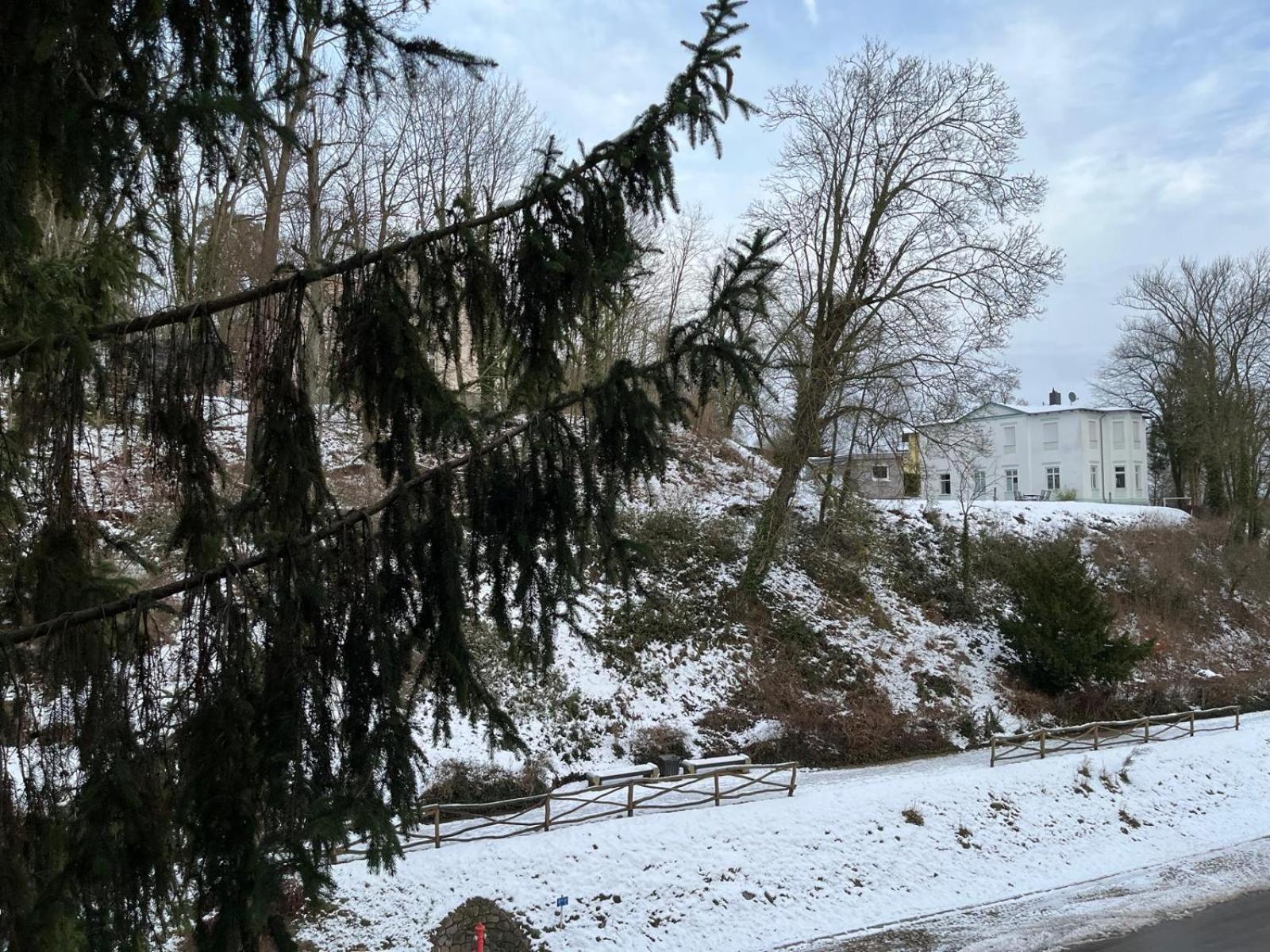 Villa Regina Bad Freienwalde Exterior photo